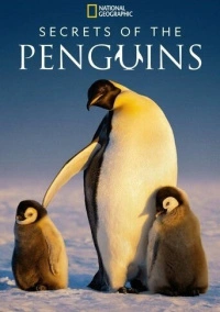 Secrets of the Penguins (2025)